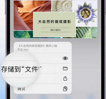 广元apple维修中心分享iPhone文件应用中存储和找到下载文件