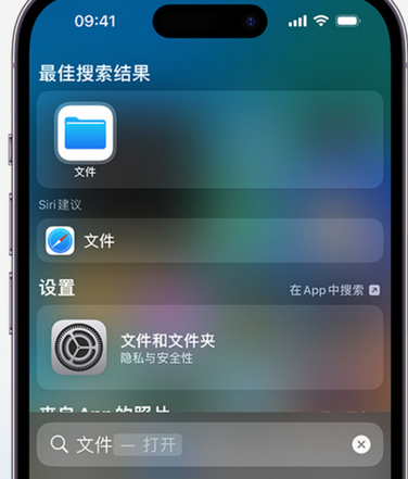 广元apple维修中心分享iPhone文件应用中存储和找到下载文件 