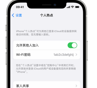 广元apple服务站点分享iPhone上个人热点丢失了怎么办 