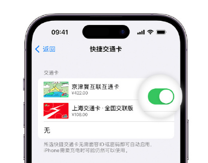 广元apple维修点分享iPhone上更换Apple Pay快捷交通卡手绘卡面 