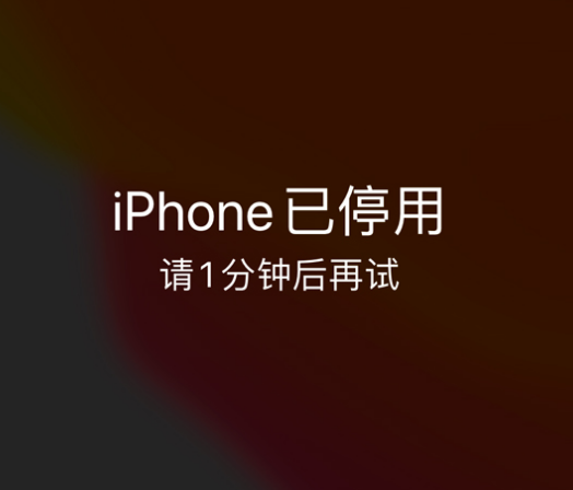 广元苹果手机维修分享:iPhone 显示“不可用”或“已停用”怎么办？还能保留数据吗？ 