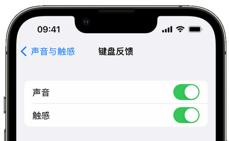 广元苹果手机维修分享iPhone 14触感键盘使用方法 