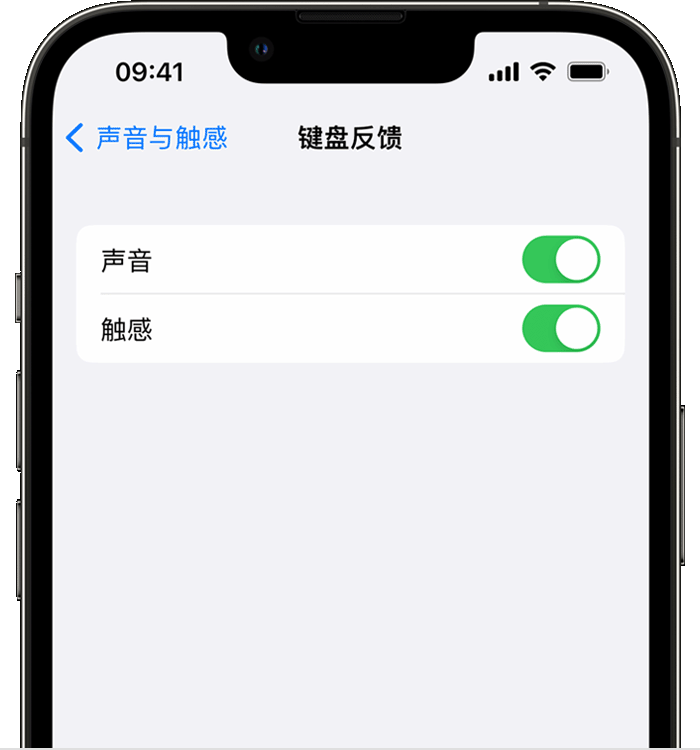 广元苹果14维修店分享如何在 iPhone 14 机型中使用触感键盘 