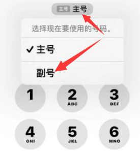 广元苹果14维修店分享iPhone 14 Pro Max使用副卡打电话的方法 