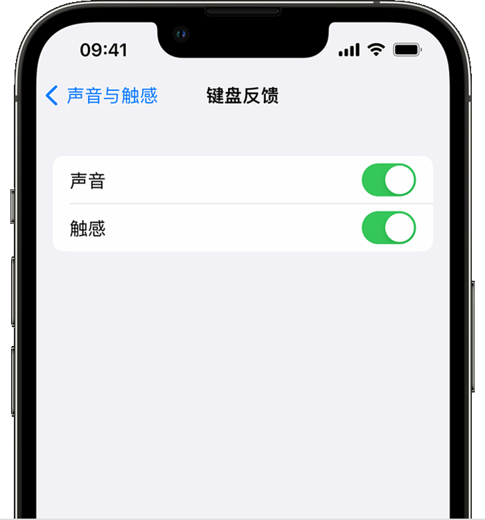 广元苹果14维修分享iPhone 14 系列机型如何开启键盘声音或触感反馈 