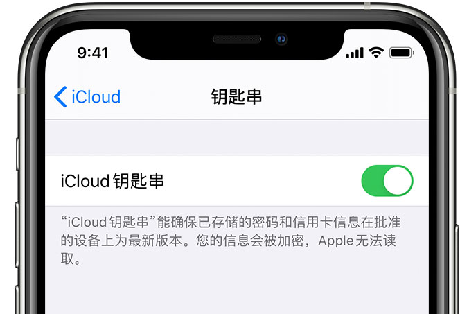 广元苹果手机维修分享在 iPhone 上开启 iCloud 钥匙串之后会储存哪些信息 