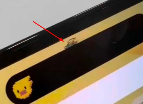 广元苹果14维修分享iPhone 14 Pro Max灵动岛怎么养宠物 