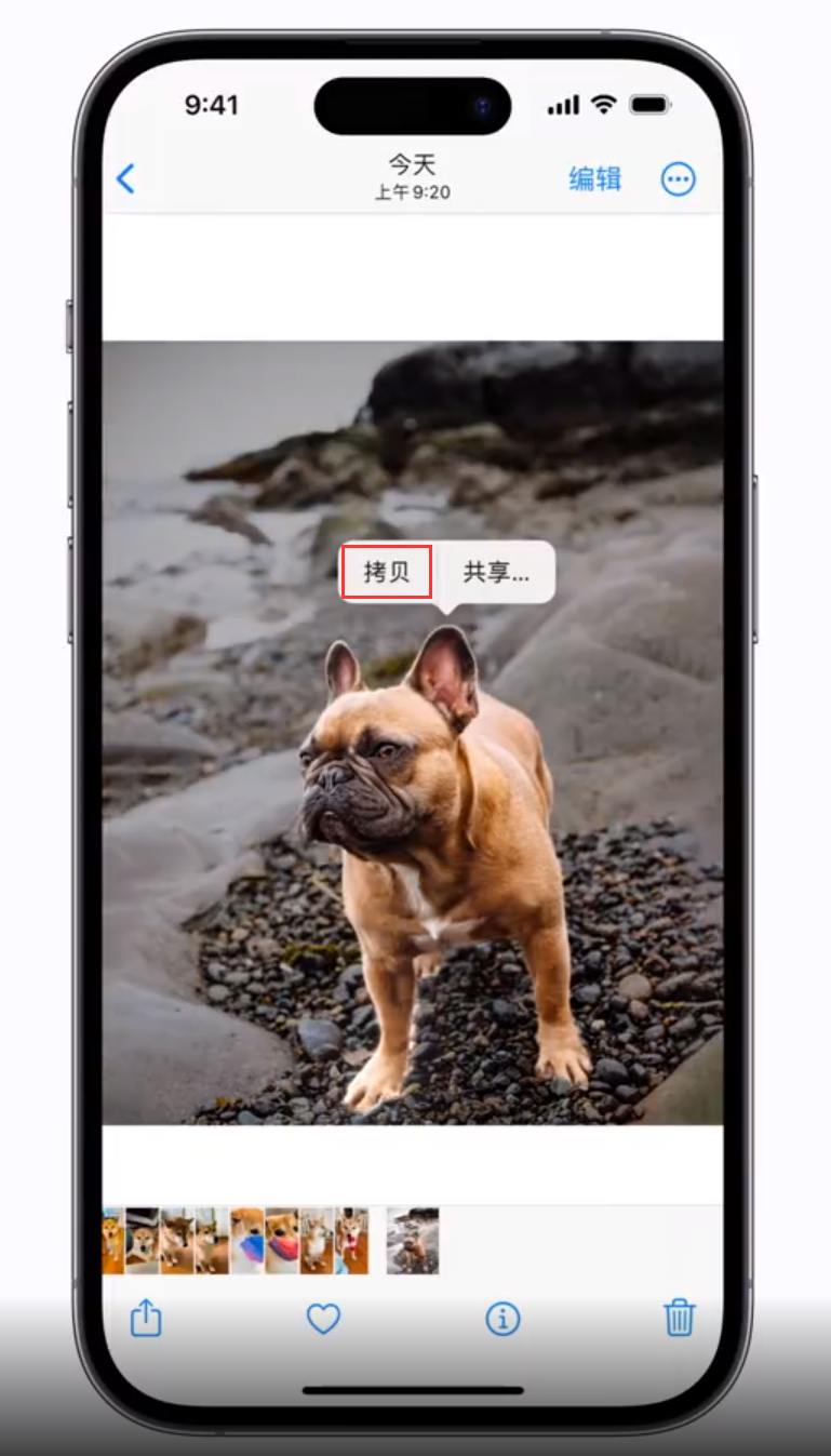 广元苹果手机维修分享 iOS 16 自带一键抠图功能 