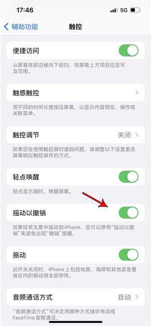 广元苹果手机维修分享iPhone手机如何设置摇一摇删除文字 