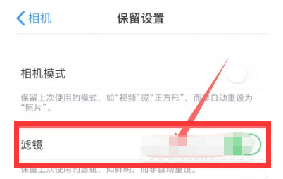 广元苹果13维修分享iPhone13拍照有绿点是怎么回事 