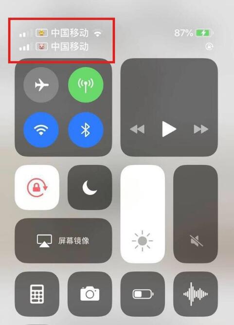 广元苹果手机维修分享为 iPhone 12 双卡设置标签 