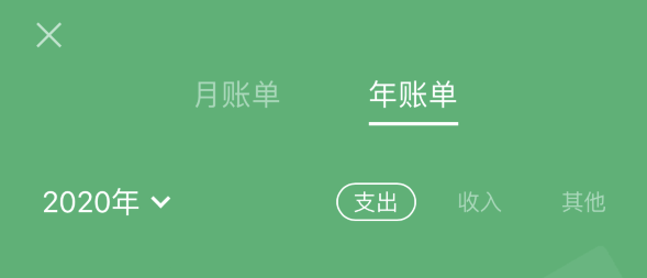 广元苹果手机维修分享如何在 iPhone 上查看支付宝和微信年支出账单 